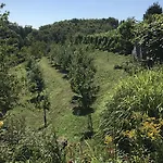 Дом отдыха Wine & Nature & Tour Птуй