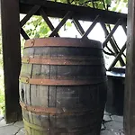 Wine & Nature & Tour