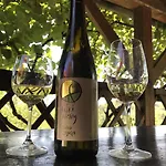 Дом отдыха Wine & Nature & Tour Птуй
