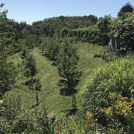 Hébergement de vacances Wine&nature&tour Zgornji Leskovec