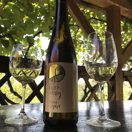 Hébergement de vacances Wine&nature&tour Zgornji Leskovec
