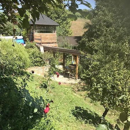 Wine & Nature & Tour *