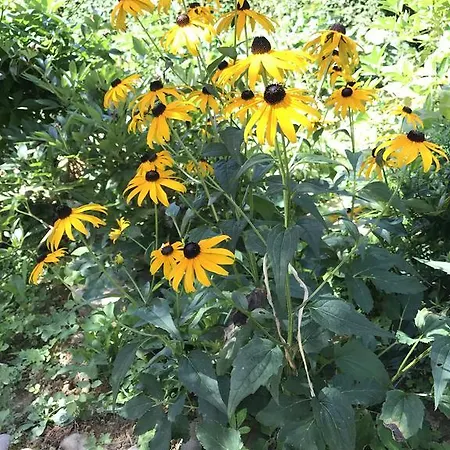 Wine & Nature & Tour