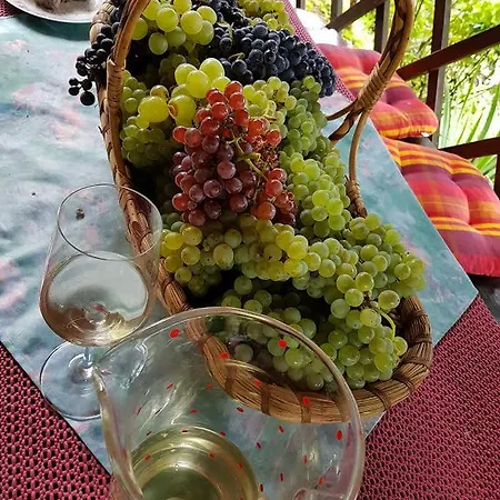 Hébergement de vacances Wine&nature&tour *