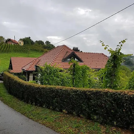 Wine & Nature & Tour Tatil Evi *