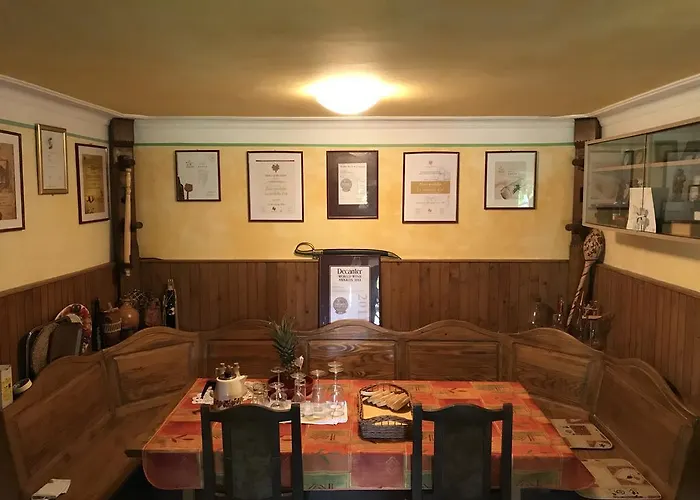 Wine & Nature & Tour *