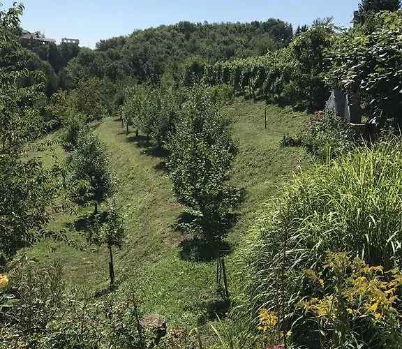 Dom wakacyjny Wine & Nature & Tour Ptuj