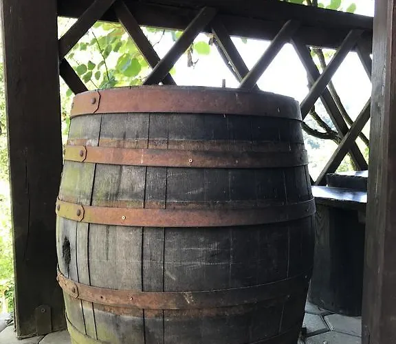 Wine & Nature & Tour