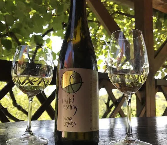 Dom wakacyjny Wine & Nature & Tour Ptuj