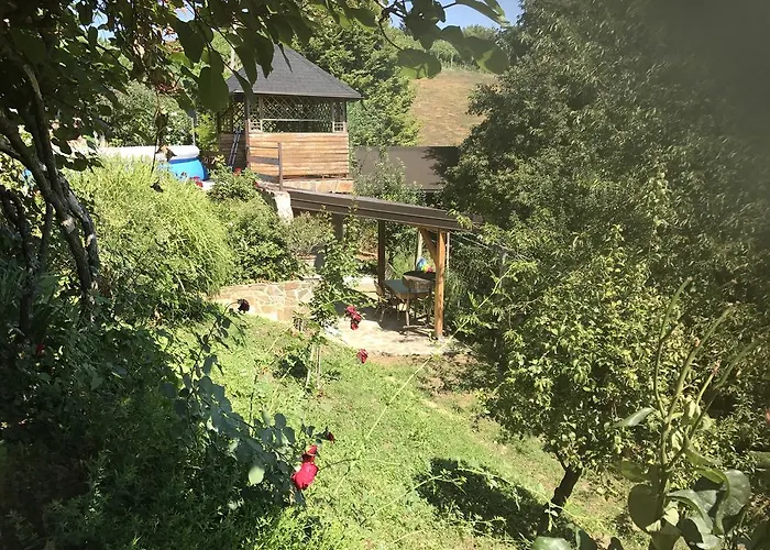 Wine & Nature & Tour *