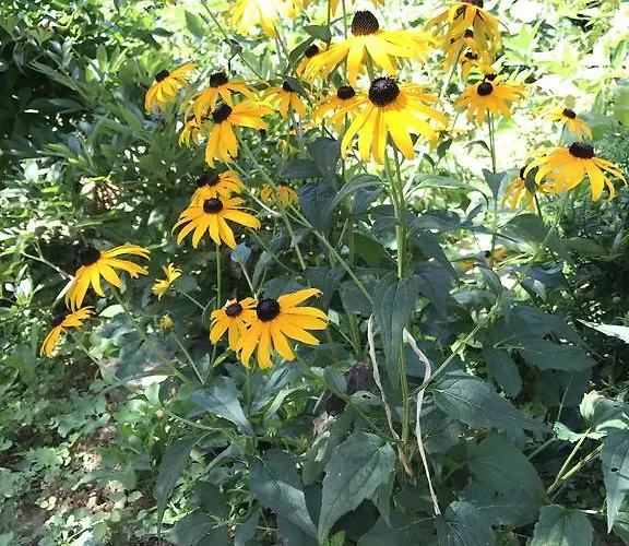 Wine & Nature & Tour